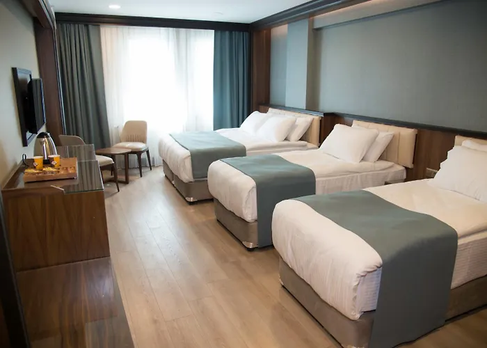 Hotel Valens Downtown Istanboel