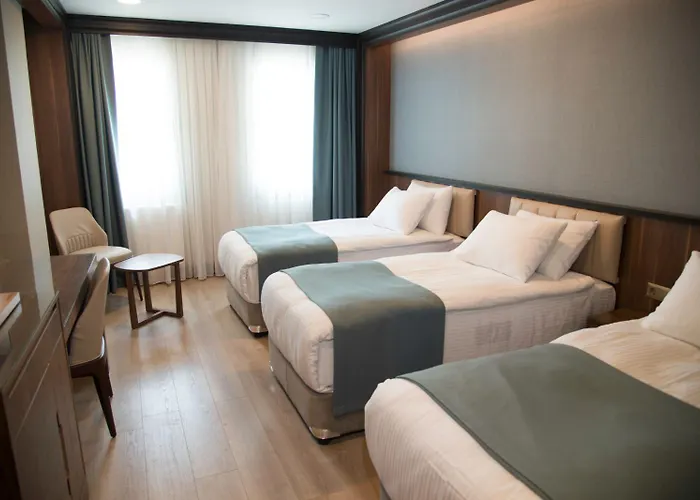 Valens Downtown Hotel 2*