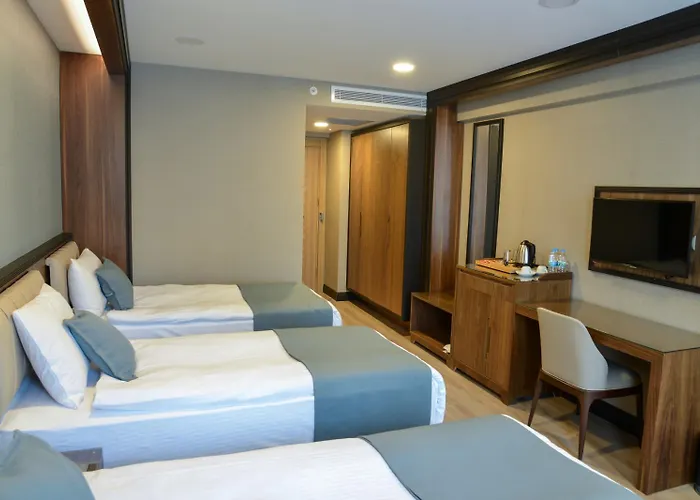 Hotel Valens Downtown Estambul