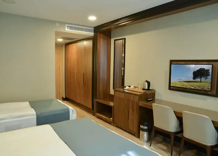 Valens Downtown 2* Estambul