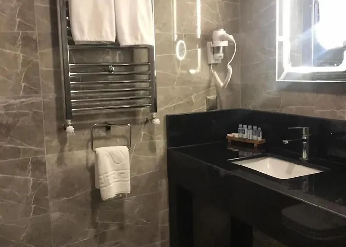 Hotel Valens Downtown Istanboel