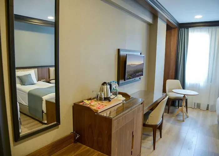 Hotel Valens Downtown 2*