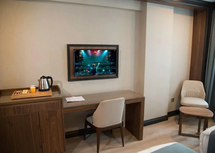 Hotel Valens Downtown Istanboel