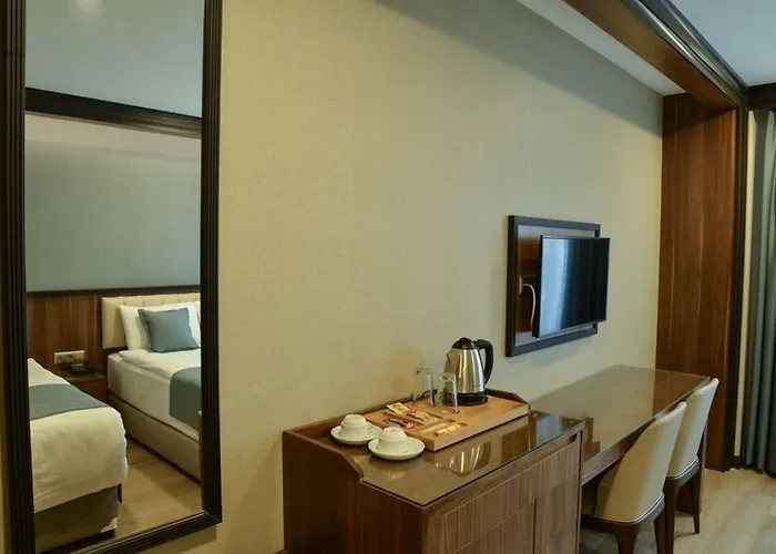 Valens Downtown Hotel Istanboel