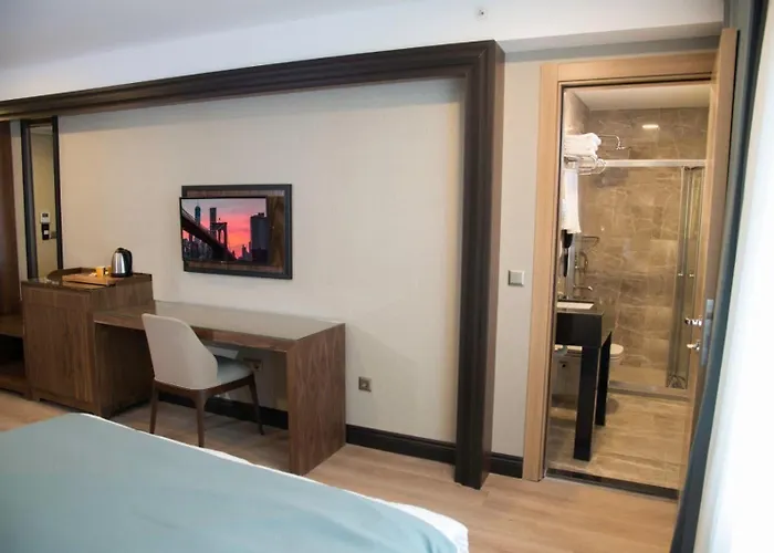 Hotel Valens Downtown Istanboel