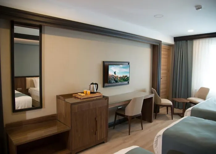 Hotel Valens Downtown Estambul