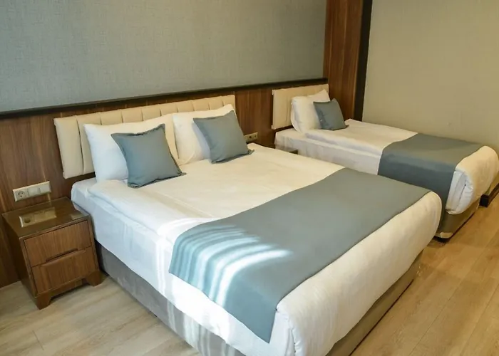 Valens Downtown Hotel 2*