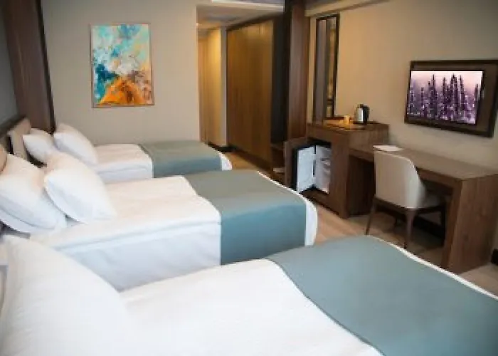 Hotel Valens Downtown Estambul